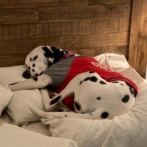 Meet your Posher, Grace